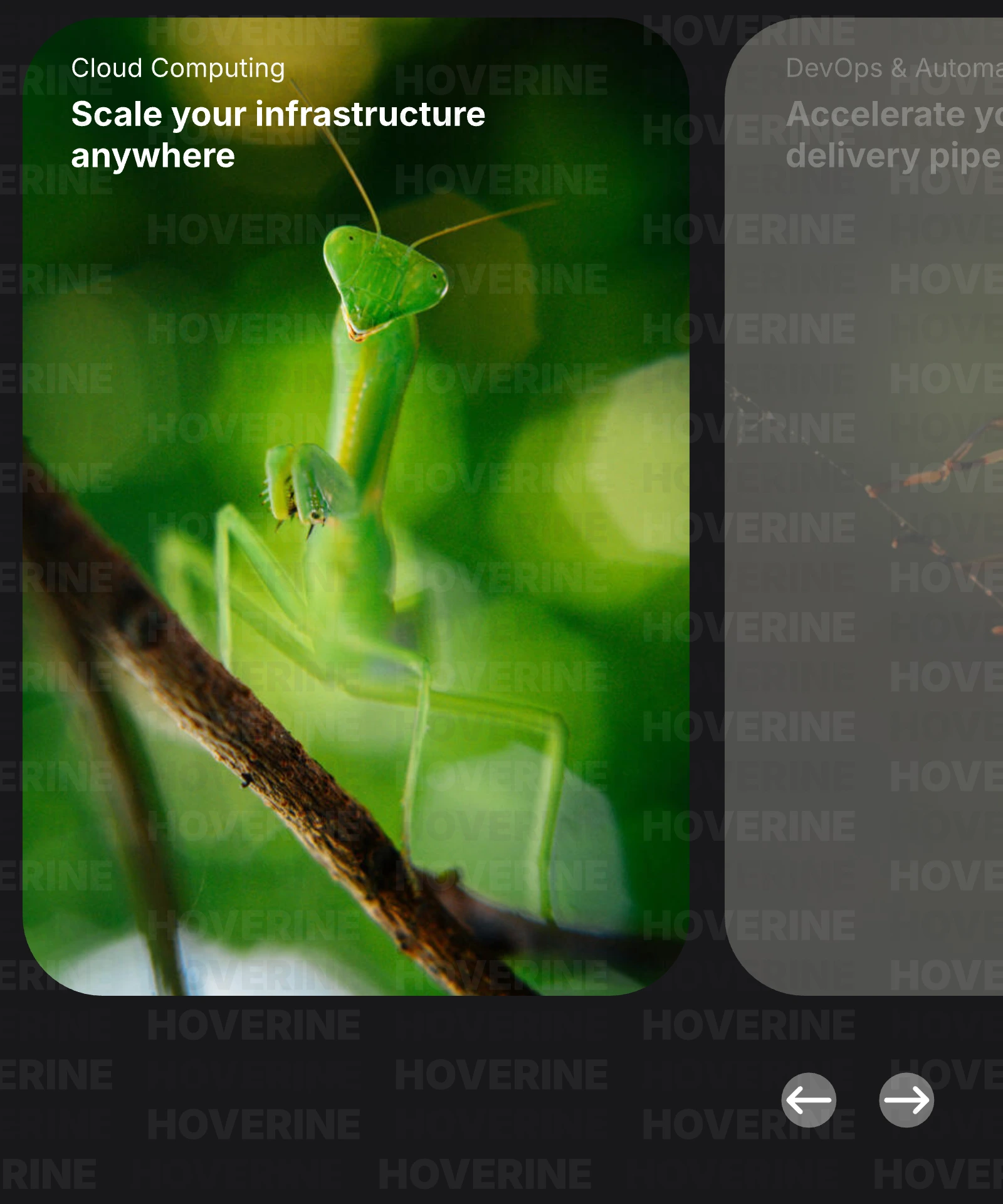 Image Slider Button Rive animation preview